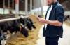 Farm audit - cows
